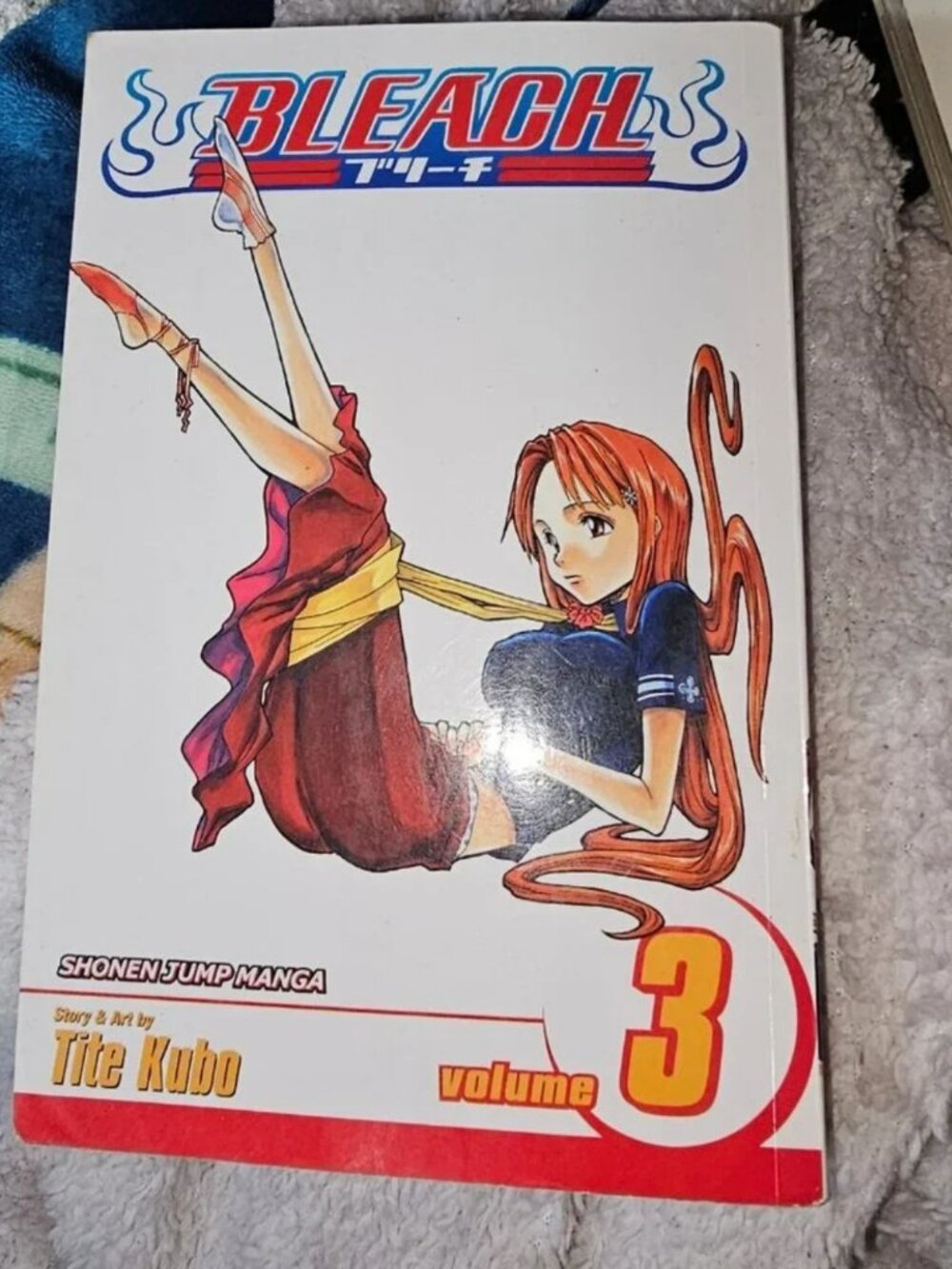 Bleach, Vol. 3: Memories in the Rain